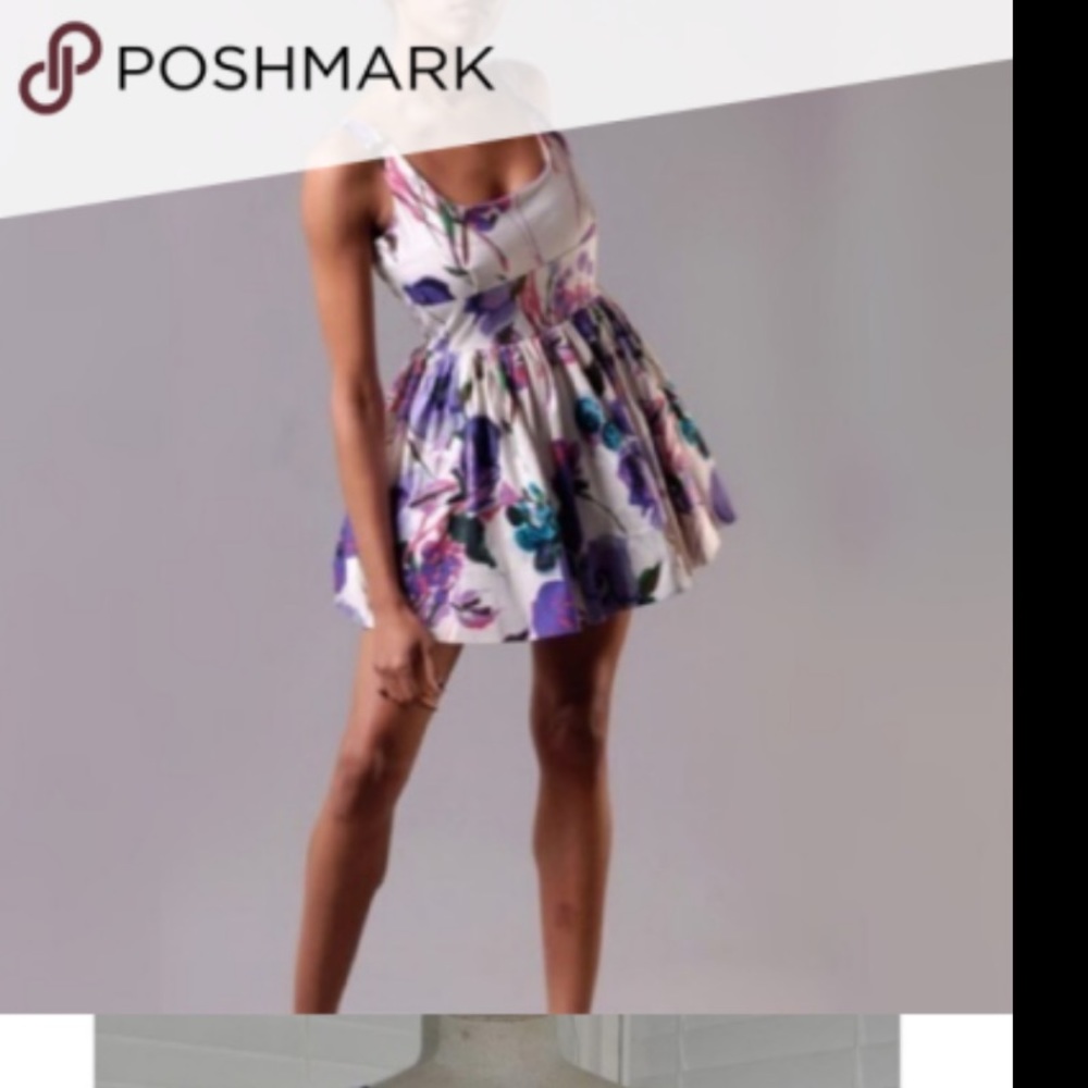 BB Dakota ruffled floral dress